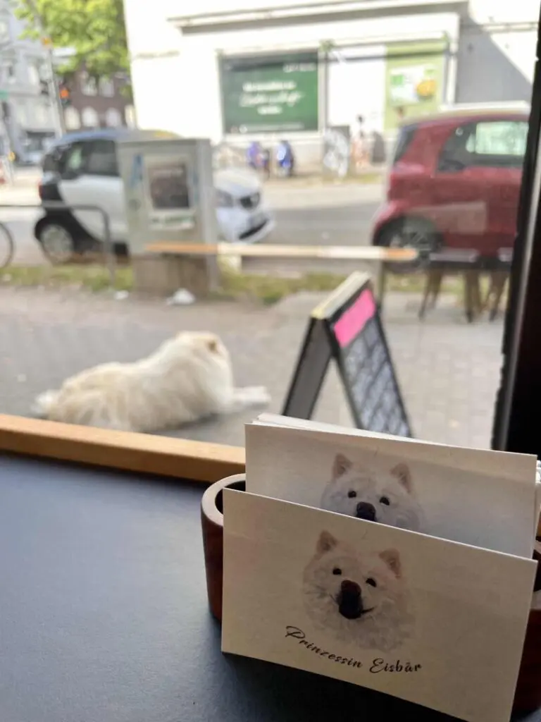 Prinzessin Eisbär Mochi vor der Tür