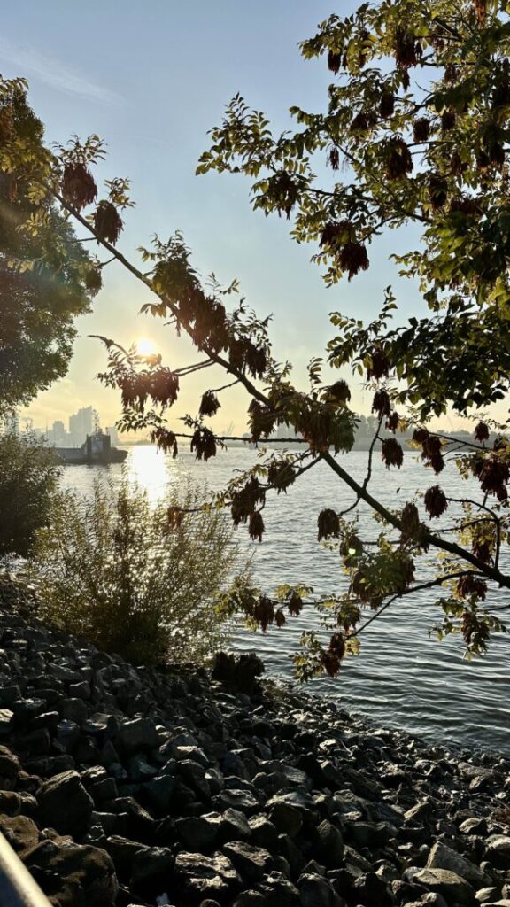 Fischmarkt Aussicht