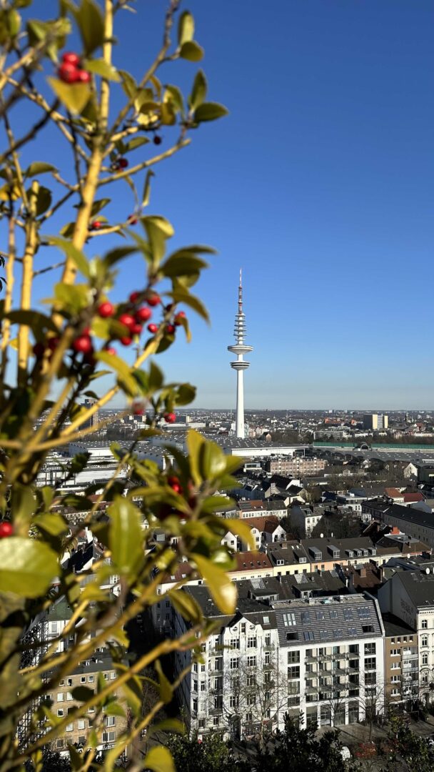 Hamburg Bunker Aussicht