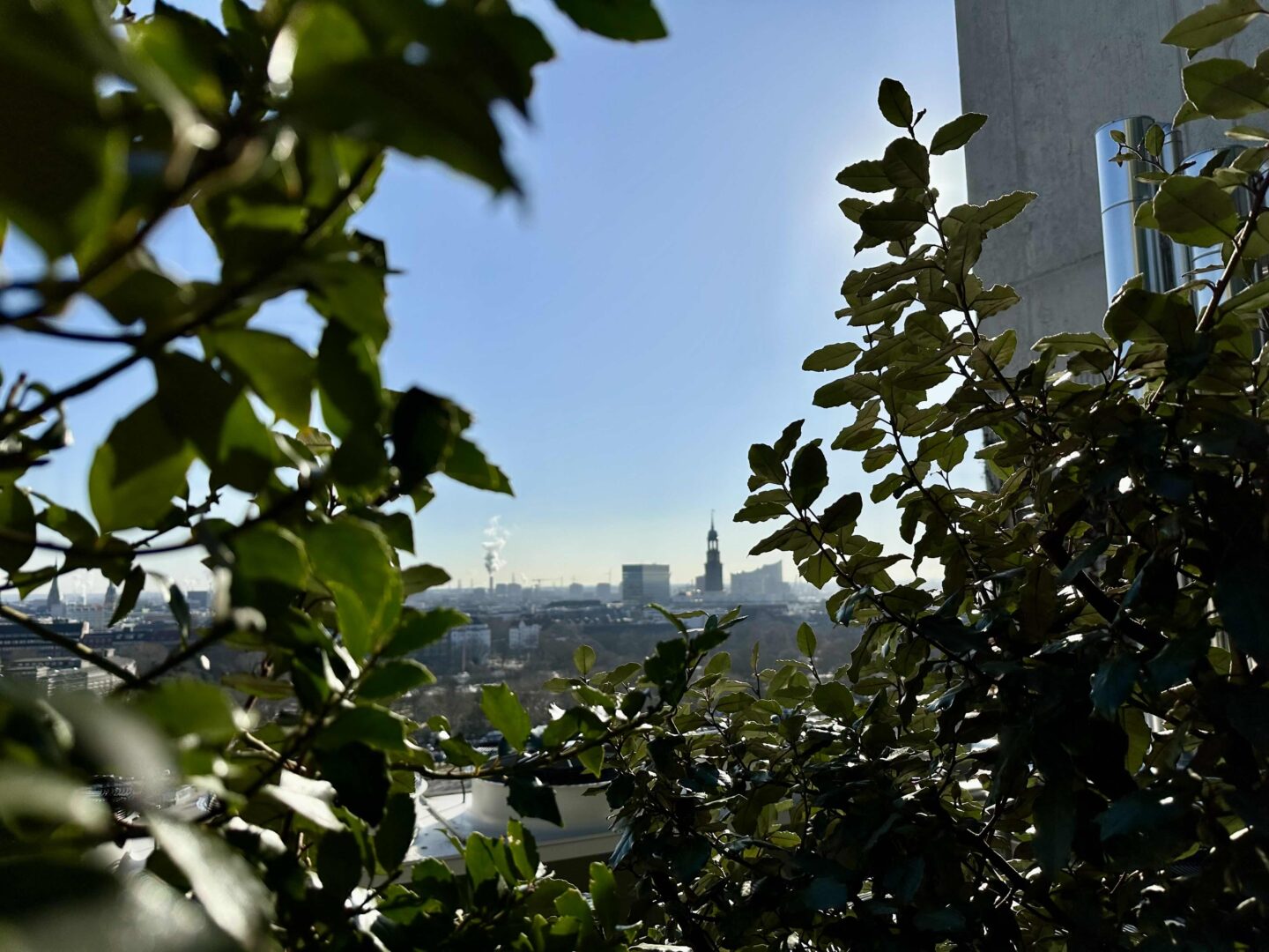 Hamburg Bunker Aussicht
