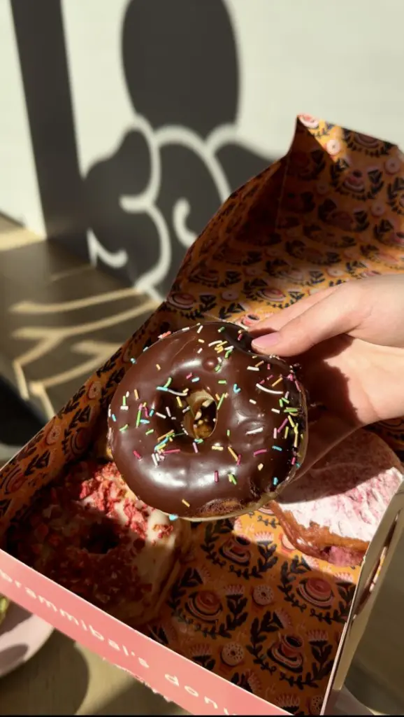 Brammibal's Donut Choc Sprinkle