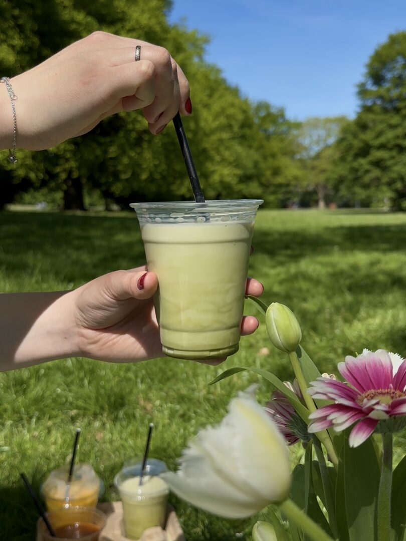 Picknick im Park Matcha Latte