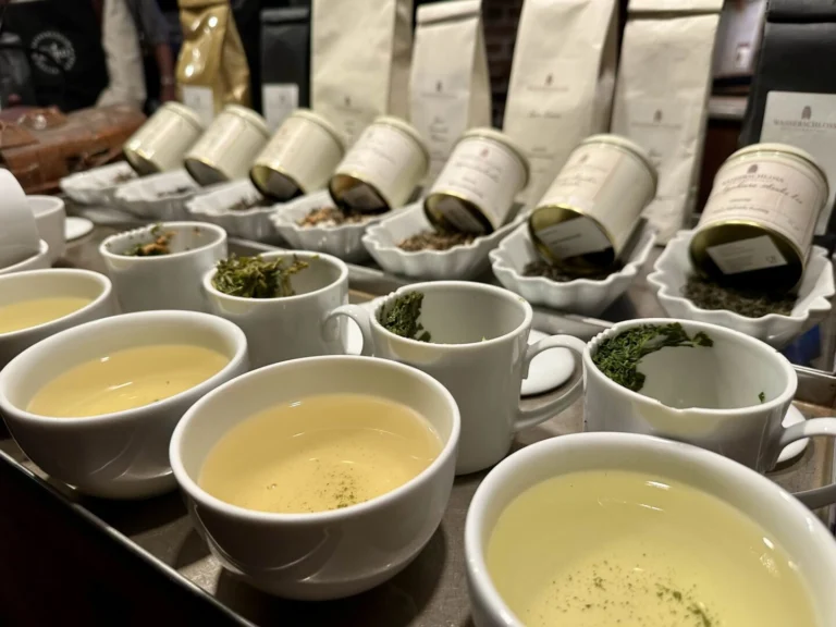 Tee Tasting Hamburg Grüntee