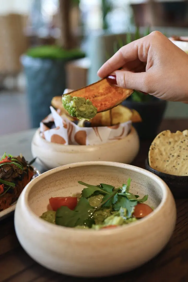 Elemente Guacamole